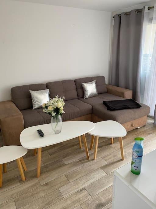 Jolie Studio En Plein Centre De Cannes La Bocca Luaran gambar